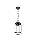 LALUZ Outdoor Pendant Light, Matte Black Exterior Hanging Lantern, Anti-Rust Outdoor Hanging Light Fixture with Clear Glass, Farmhouse Outdoor Porch Chandelier for Gazebo, Patio, Yard, 10”