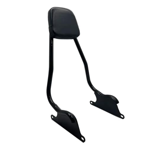 bNX[cP[XuPbg Compatible With R18B 2021 2022 2023 I[goCANZT[ AQbWbNLA ApbZW[obNXg AQbW J[SbNp