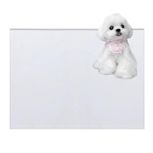 Lifetips }`[YiMaltesej gC}`FX^[eA ybggC}bg VR h ~ 􂦂  L V[gh~ g[p t[Oی ybggC}bg VR}bg ΍ gCV[gŒ