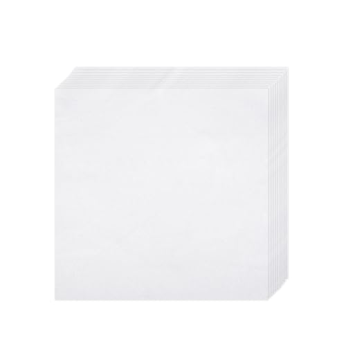 10 PCS Embroidery Fabric, Pre-Cut White Natural Cotton Embroidery Cloth Fabric, Embroidery Cloth Squares for Embroidery Garment Craft (9.8 × 9.8 Inch)