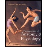 Fundamentals of Anatomy & Physiology
