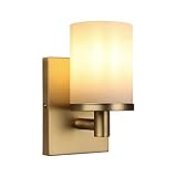 Pathson Vintage 1-Light Wall Sconce, Hardwired Bathroom Vanity Light, Frosted Glass Wall Mount Light Fixtures for Hallway Bathroom Kitchen Living Room (Antique)