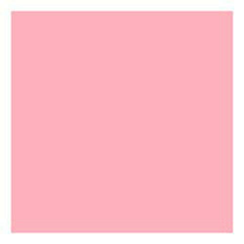 Reeves Colore Acrilico 200ml - Tinta Carne