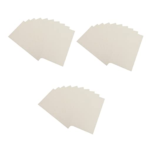 Ciieeo 30 Folhas De Papelão De Papelão De Arroz Cru Pintura Tradicional Chinesa