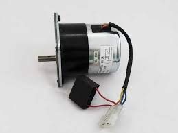 Danson Pelpro Auger Feed Motor 2RPM OEM SRV7000-670