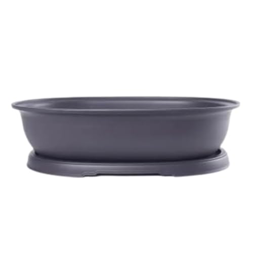 CZ Grain 14 Inch Oval Bonsai Pots and Drip Tray - Heavy Duty Display Pots (1 Pot) - Ideal for Indoor...
