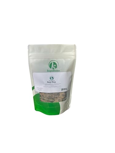 Kopabana NEP NEP (Acacia Nilotica Seeds) - 2oz, Hand-Harvested and Sun-Dried Organic Seeds from Mali