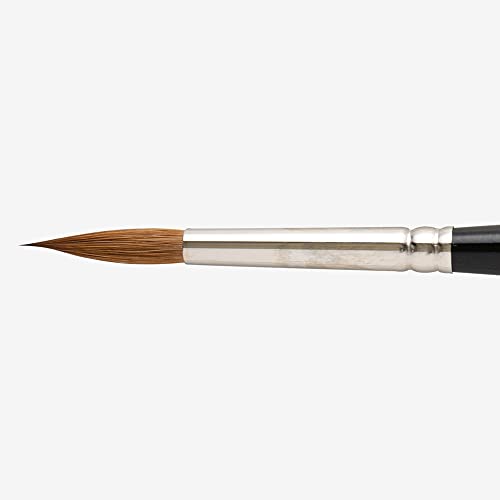 Raphael(ラファエル)8408 コリンスキー 丸 7号