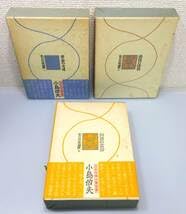 Amazon.co.jp: 私の作家遍歴：小島信夫 全3巻セット 黄金の女達最後の