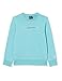 Champion Jungen Soft Fluo-Crewneck Sweatshirt, Teal, 15-16 Jahre