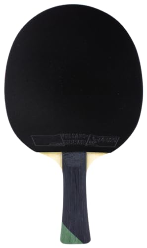 Raquette de tennis de table Alexis Lebrun haute précision