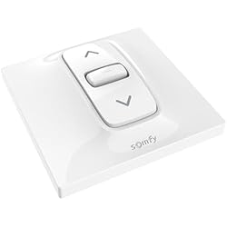 Interruptor Para Persianas Motorizadas somfy 1870881 Interruptor de posición, Color Blanco