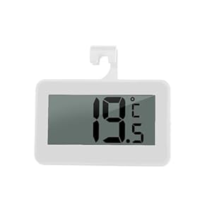 Sparklwleaf Digitales Innenthermometer für Innenbereich