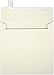 LUXPaper Square Invitation Envelopes | Peel & Press | 6 1/4