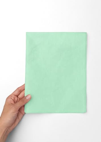 InsideMyNest Premium Quality Tissue Paper Sheets Solid Colours 30x20 (Pack of 20 Sheets) (Cool Mint)