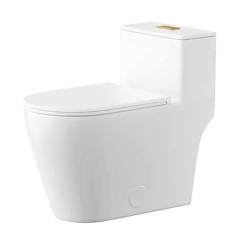 Casta Diva Elongated One Piece Toilet with 17' ADA Comfort Chair Height Seat Compact Toilet for...