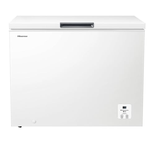 Hisense FT321D4AWLE - Contenitore congelatore orizzontale con manico, doppia funzione