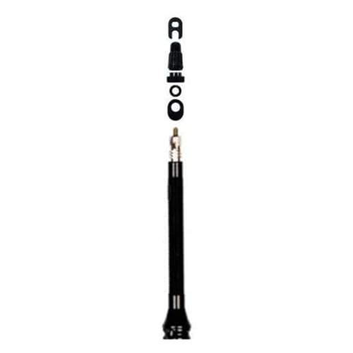 Valve de pneu tubeless Presta Mavic UST 60 mm en alu noir avec obus démontable pour vélo