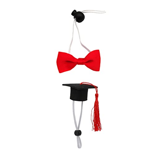 Totority 2 ybghN^[nbg Xq X[c nX^[Lbv nX