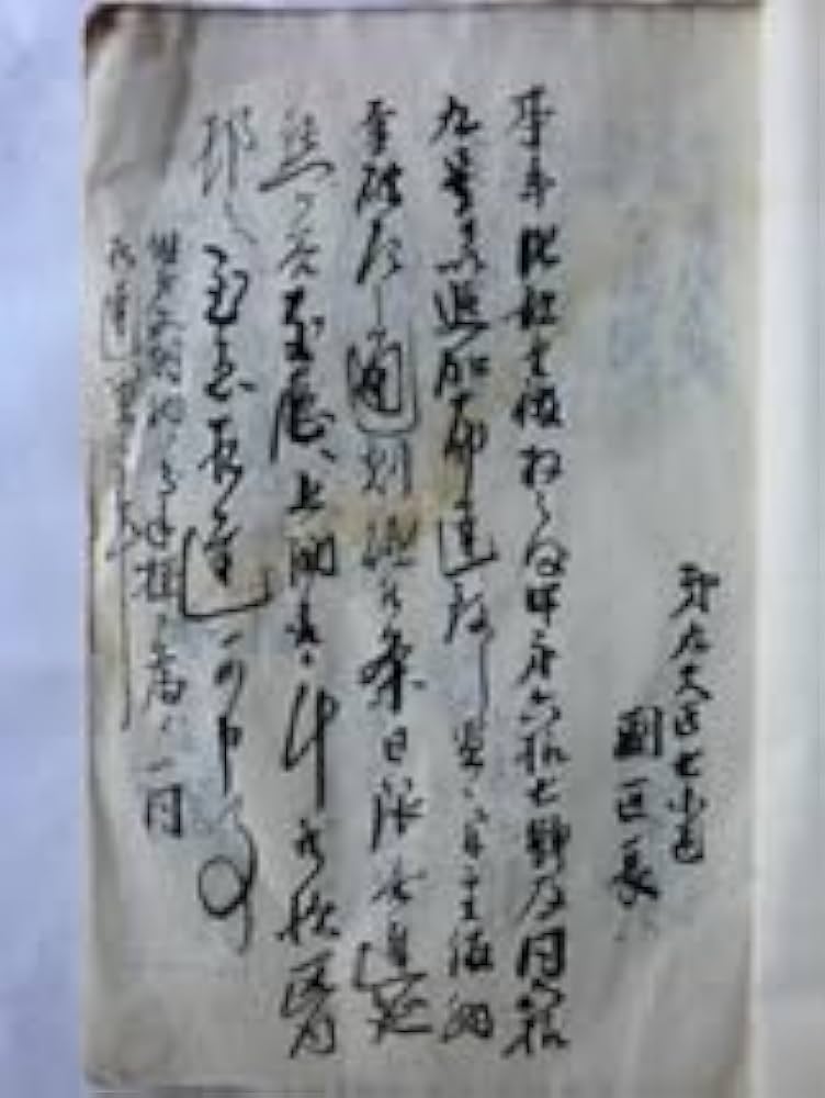 Amazon.co.jp: 旗本領沼上村古文書明治11年 御布達之扣 15丁