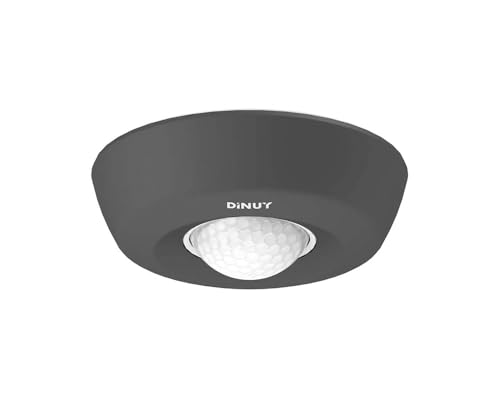 Détecteur de surface de plafond Bluetooth puissant 3000W 2000lm noir - 2
