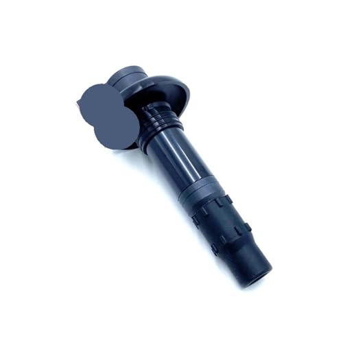 Bobine d'allumage baton 296000307 pour jet-ski GTS GTR 130 155 215 260 300