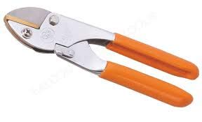 Falcon Spanco ECONOMY-M2 Steel Economy Pruner (Multicolor)