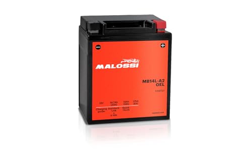 BATTERIA MALOSSI GEL YB14L-A2 NEXUS 250/500 SCARABEO 500 PEGASO 600/650