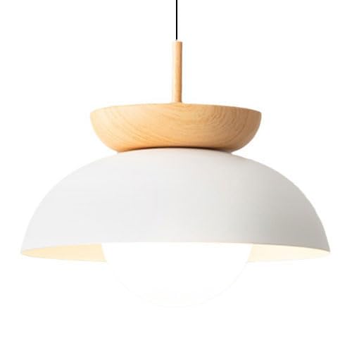 Suspension métal E27 luminaire plafonnier encastré à une tête style simple
