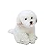 CJWSLYT Animale Peluche Simulazione Maltese Cane Peluche Giocattoli Decorazione Domestica Amanti Animali domestici Regalo Animali Farciti Super Realistici Schnauzer Toys (Colore: Bianco)