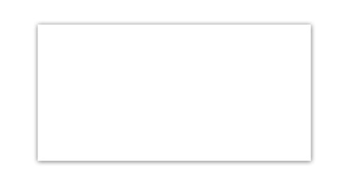 AbleDIY 24 x 48 inches Matte White Plastic Film Seamless Background/Diffuser for Product Photography