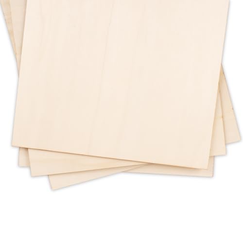 LOLYSIC 20 Stück Sperrholz 3MM,300x300MM,handwerkliche Holzplatten,unbearbeitetes Holz,für DIY Holzbearbeitung,Basteln,Geschenke,Dekoration