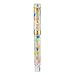 Jinhao 100 Classic Fountain Pen Rainbow Marble Celluloid, Medium Nib with Converter and Pen Case Set