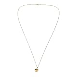 Ciieeo Collar Colgante de Urna para Cenizas de Mascotas en Forma de Corazón de Acero Inoxidable Dorado, Resistente y Versátil, Recuerdo Especial para Dueños de Mascotas