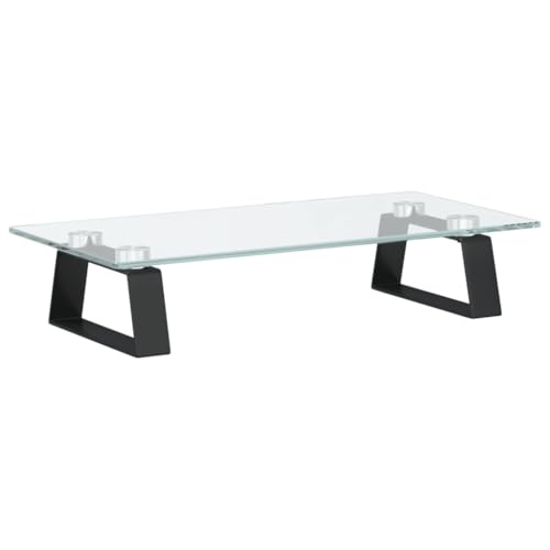 vidaXL Monitorständer, Monitorerhöhung mit Stauraum, Ständer Halterung für Monitor Laptop Drucker, Schreibtischaufsatz Bildschirmerhöhung, Schwarz 40x20x8cm Hartglas Metall