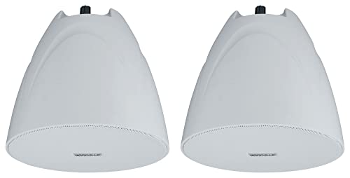 Rockville 2 PEN-525T White 5.25