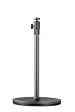 Hisense Projector C1 Premium Metallic Pairing Floor Stands SG8H