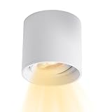 Largement appliqué : améliorez l'éclairage de votre maison avec notre plafonnier spot. Conçu pour être utilisé dans les salons, les chambres, les cuisines et les couloirs, il comporte des modules LED remplaçables, fonctionne à 220 V et offre une durée de vie de 30 000 heures : aucun transformateur requis.