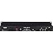 Warm Audio TB12 Tone Beast Microphone Preamp - Black