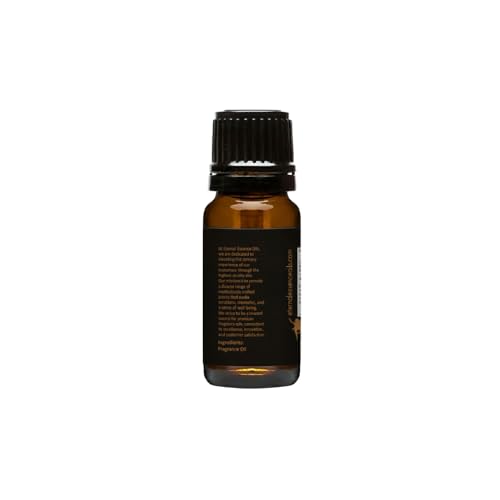 Image of Eternal Essence Oils Leather Ombre 10ml Fragrance Oil - Black Leather, Cardamom, Amber Resin & Smoked Tobacco - Deep, Spiced, Floral-Leather Scent for Men