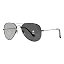 Gunmetal/Photochromic Grey