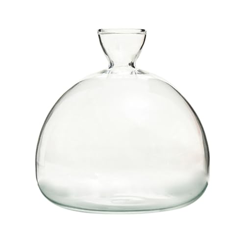 Jarrón de Vidrio de Semillas de Aguacate, Maceta hidropónica, Maceta de pequeño Transparente, diseño, jarrones Resistentes al Calor, Maceta para enraizamiento de Agua, aguacates