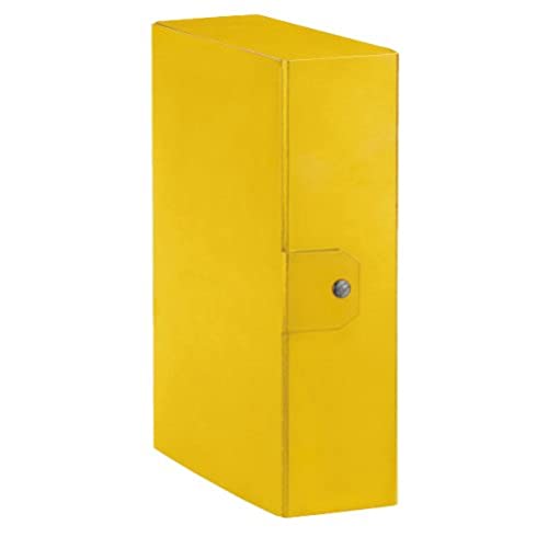 Esselte Pudełko archiwalne do archiwizacji dokumentów długoterminowych, A4, tył 10 cm, Delso Order Dorso 10 cm żółty