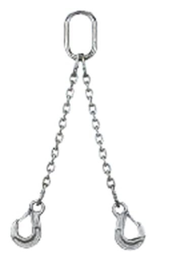 ۈ`FubN(Elephant Chain Block) `F[XO 2{ L=2M 2-AWI-HSWI-16 (2AWIHSWI-S1620)