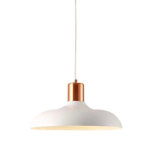 Lampe moderne à LED suspension en fer luminaire de plafond de cuisine