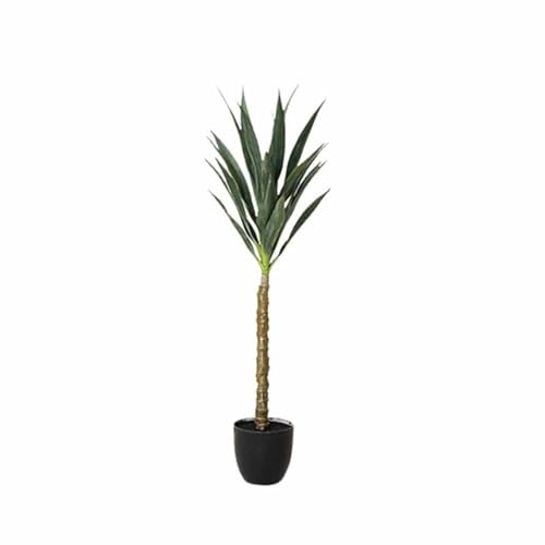 [LJKI] A tFCNO[ bJ̖ ^̊ϗtA  sv Xg JtF ItBX j A  ͂Ȃ lHA 160cm   CeAO[ V v[g ϗt lHϗtA K̖