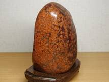 Amazon.co.jp: 赤孔雀1.1kg 孔雀石 紋石 原石 碧玉 風水 開運 誕生石