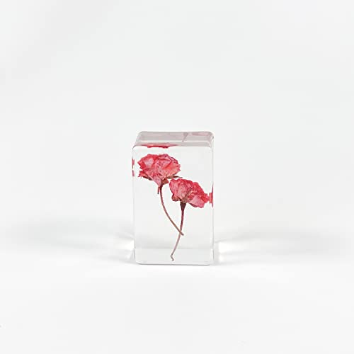 Ptgmh 6 Pcs Pressed Flowers Paperweights Real Dried Flowers Wheat Specimens Resin Paperweights Home & Office Desktop Decor Educational Kit (Colorful B) #TOP3