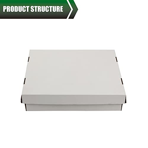 Grand Orange Graded Card Storage Box Holds 5000 Count Sport Trading Card Corrugated Cardboard Holder Container #TOP6