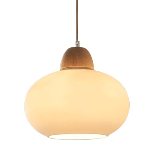 Lampe Suspendue de Plafond Industrielle avec Abat-Jour en Verre E27